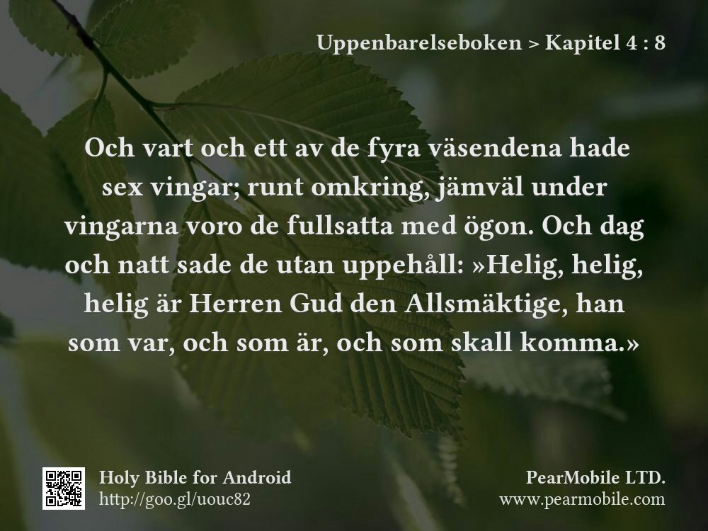 Uppenbarelseboken, Kapitel 4:8